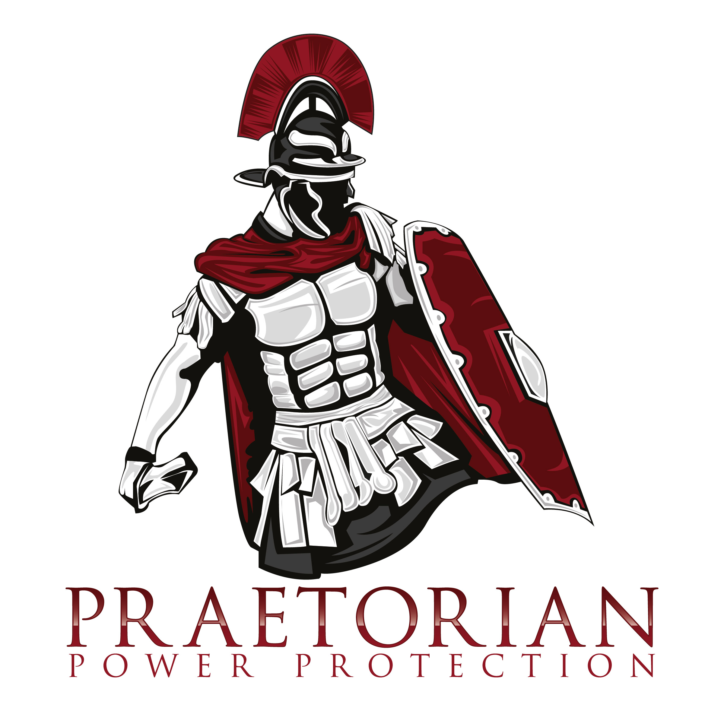 PRAETORIAN POWER PROTECTION LLC logo