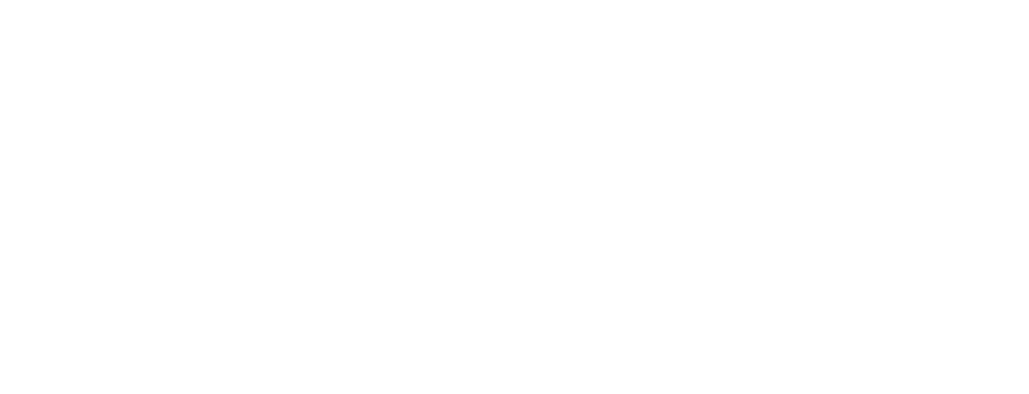 Western Express, Inc. logo
