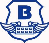 USA - Brink's Global Services logo