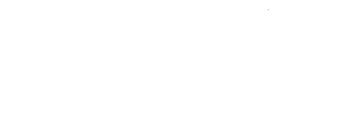 TEAM LEWIS logo