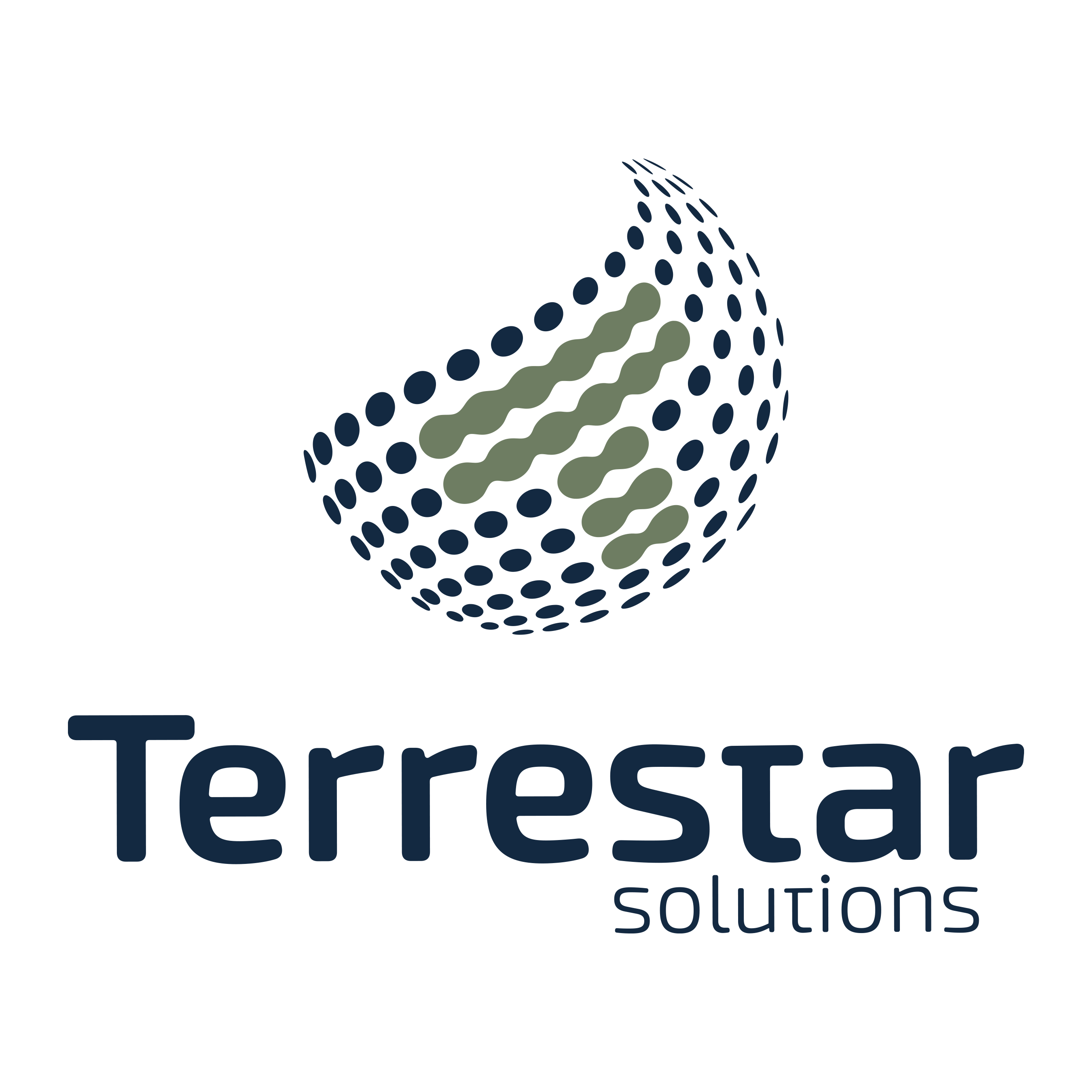 Terrestar Solutions logo