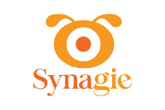Synagieinc