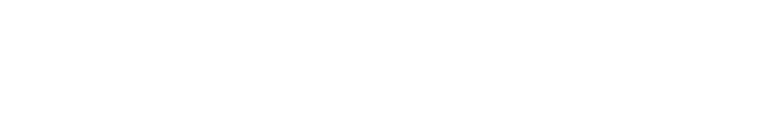 INTEREXCHANGE INC logo