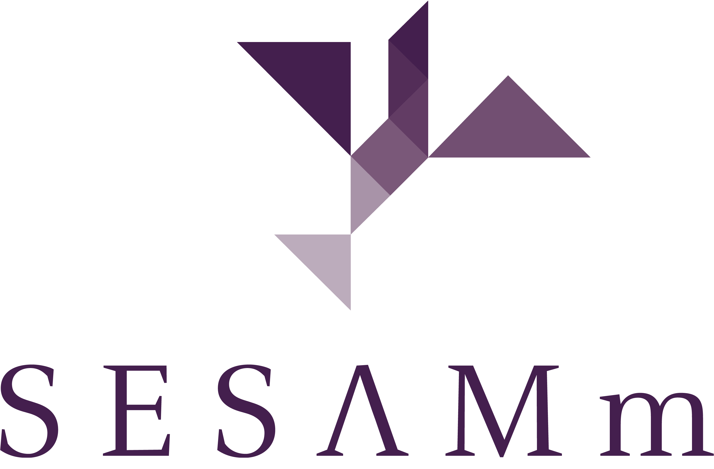 SESAMm logo