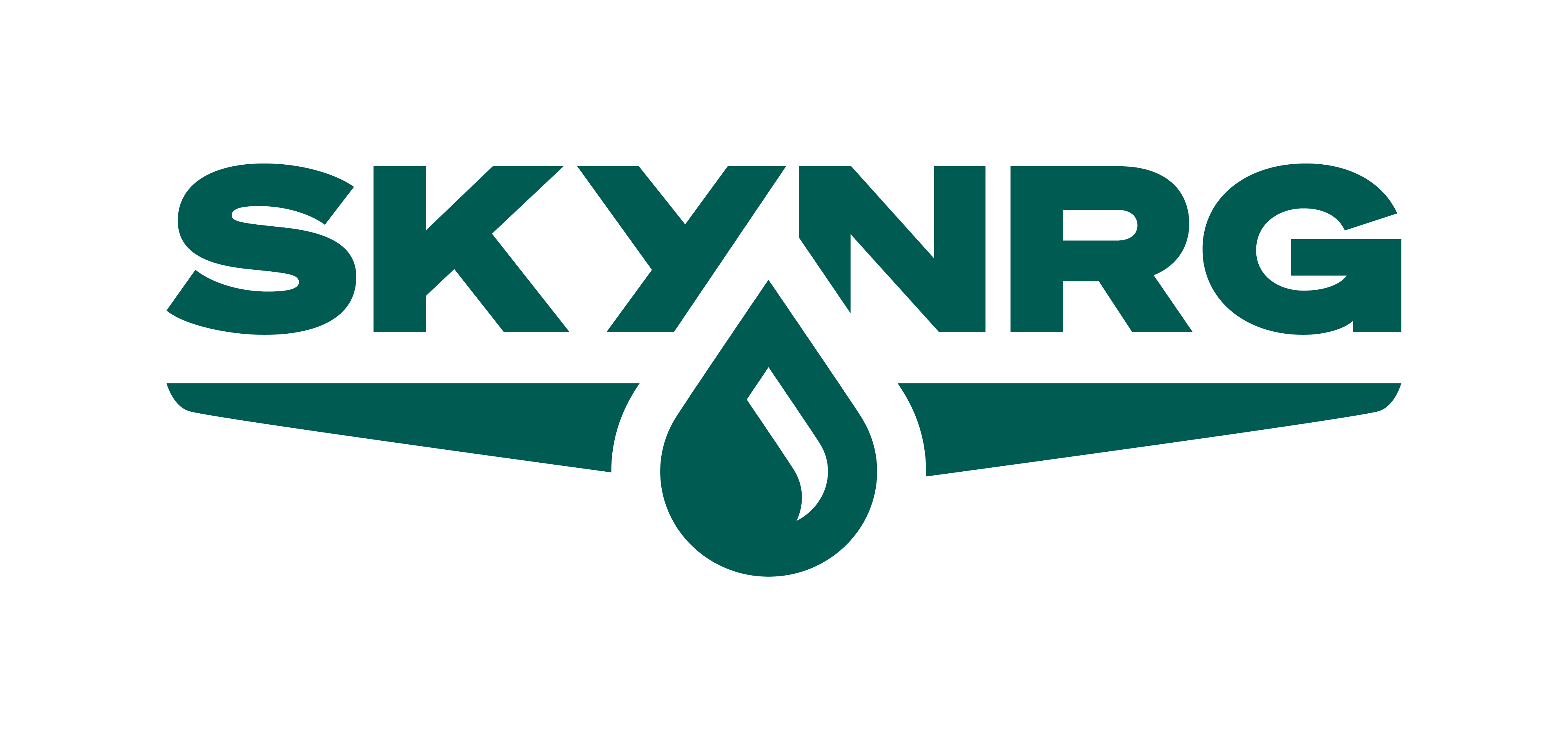 SkyNRG logo