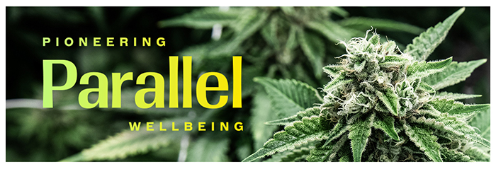 Live Parallel logo