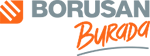 BORUSAN DANISMANLIK VE ORTAK logo