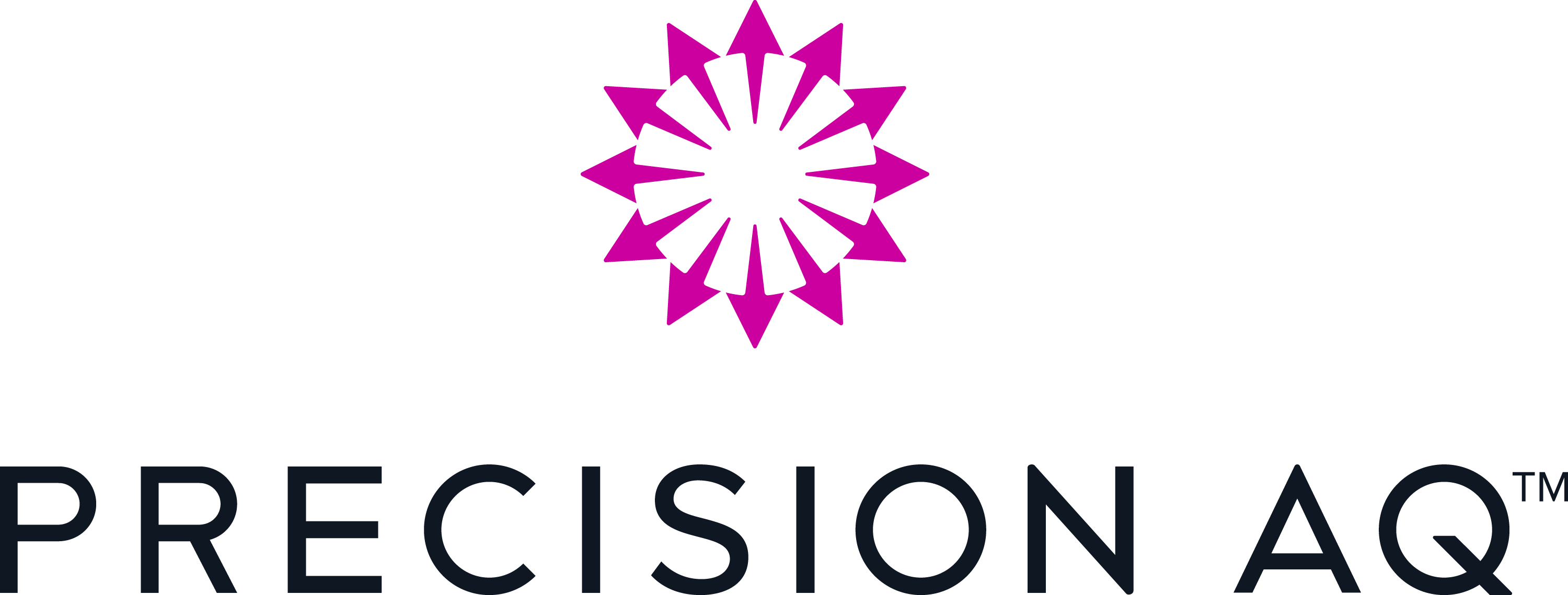 Precision AQ logo