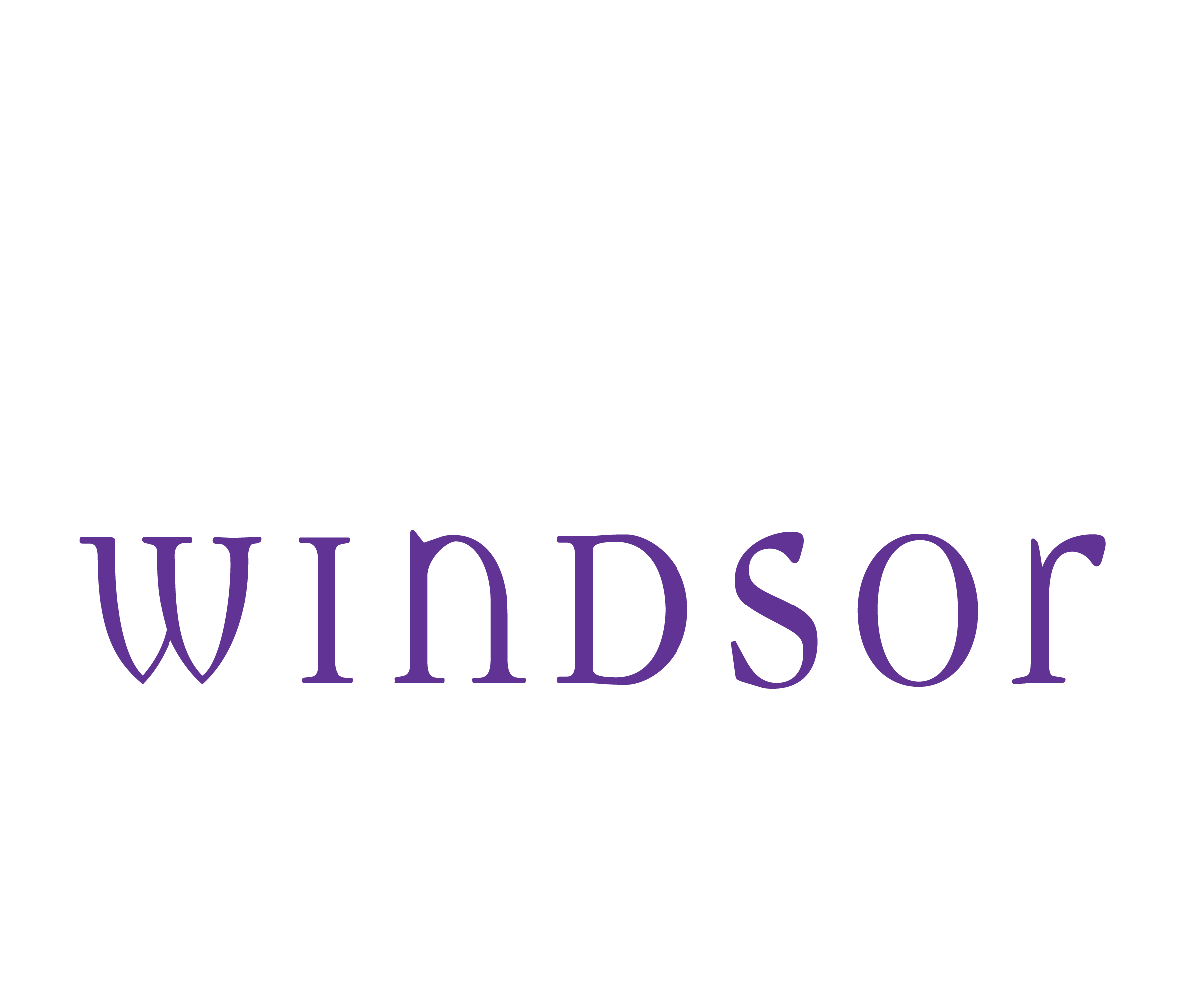 WINDSOR FASHIONS LLC logo