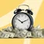 Bankrate logo