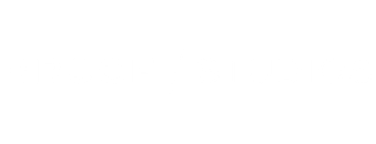 Bruce Studios logo