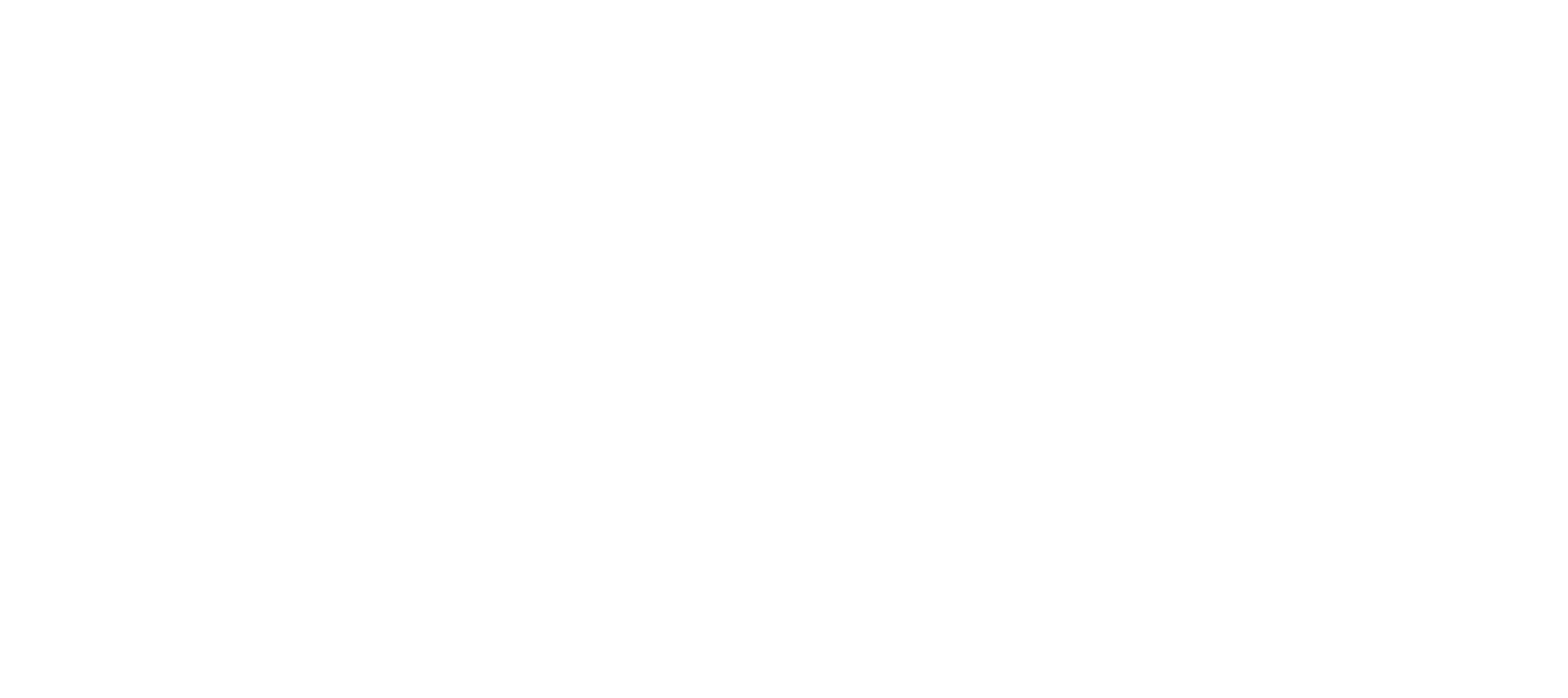 857 606 303 First Australian Company logo
