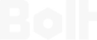Bolt Insight logo
