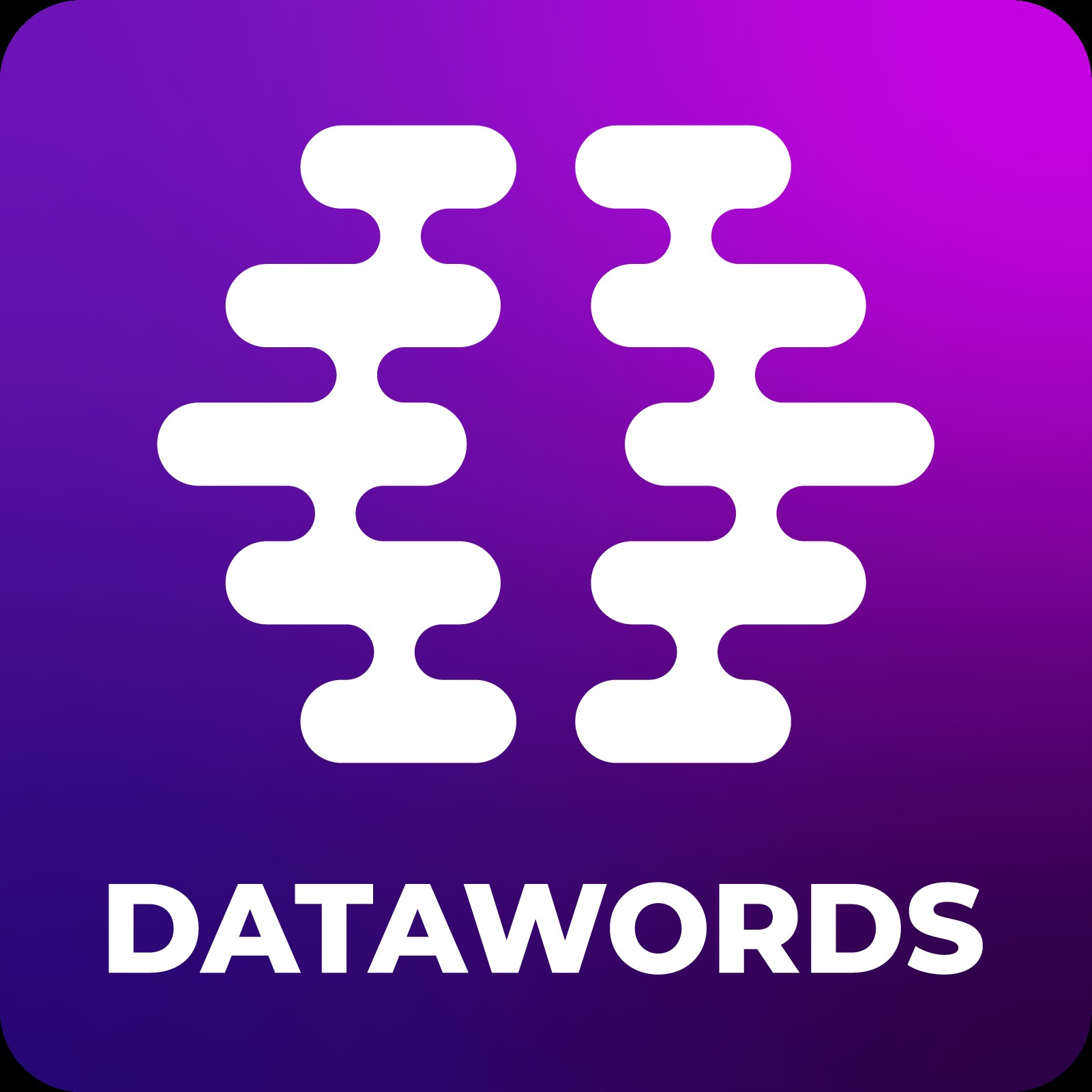 datawords logo