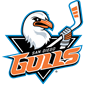 San Diego Gulls Hockey Club, LLC logo