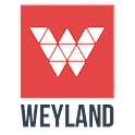 Weyland Ingeniería Limitada logo