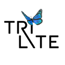 trilite-tech logo