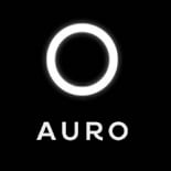 AURO NEW TRANSPORT - OFICINA logo