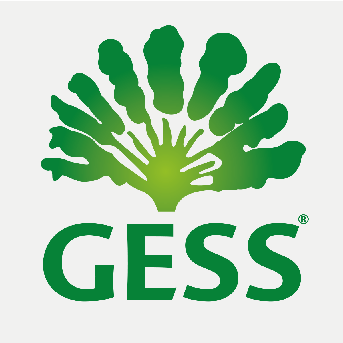 gess logo