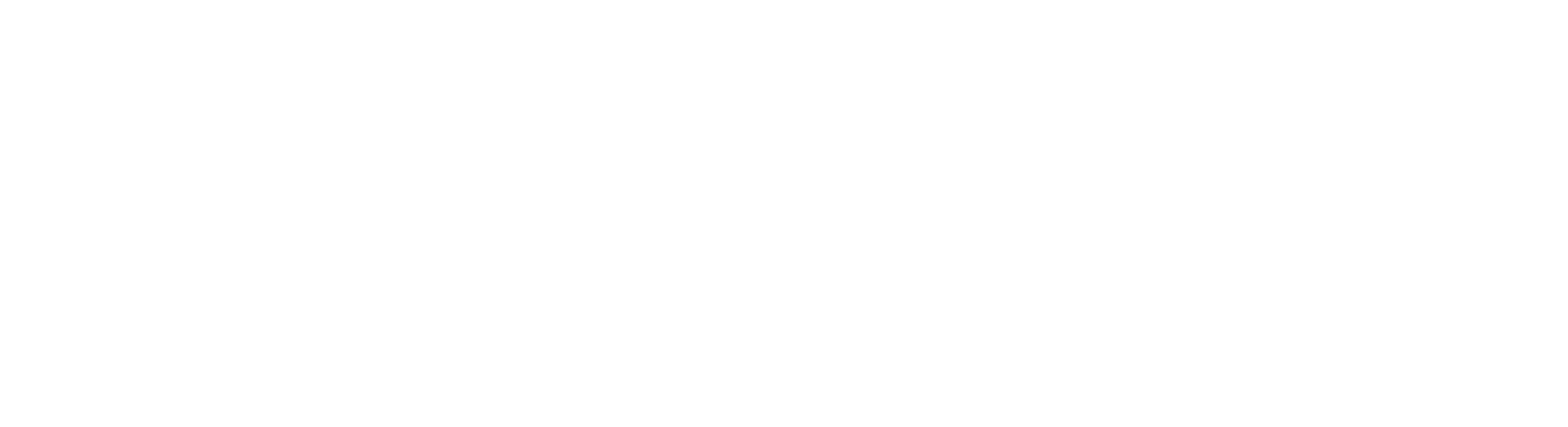 The Bonadio Group logo