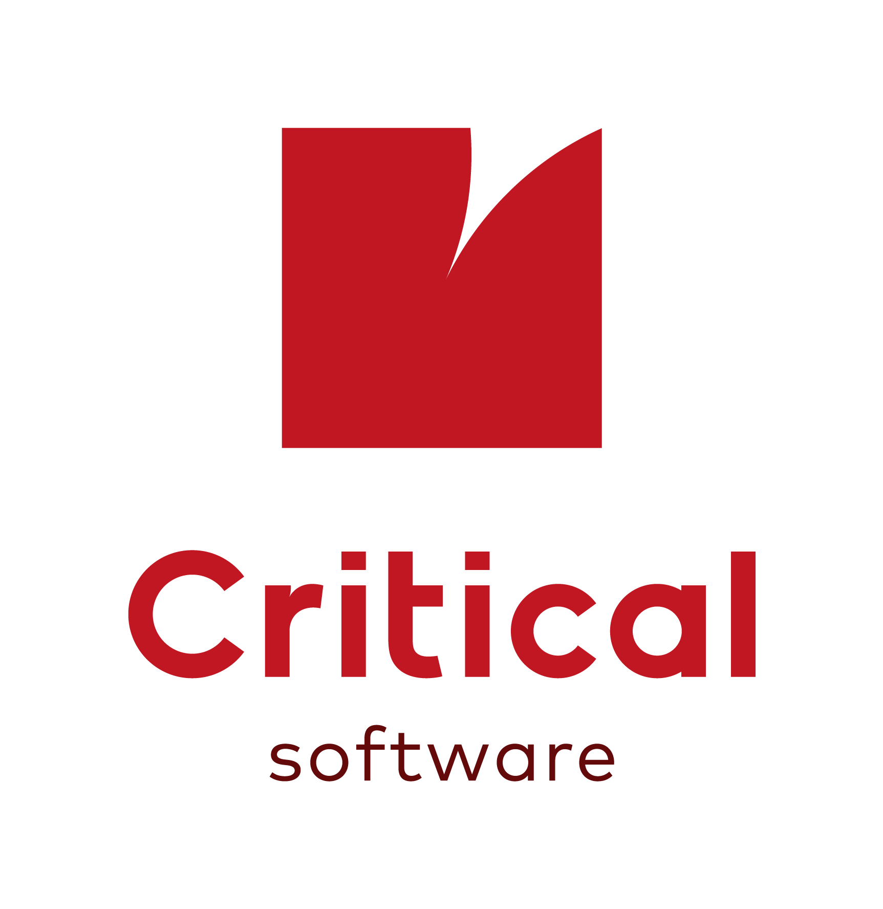 Critical Software logo