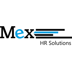 Mex IT GmbH logo