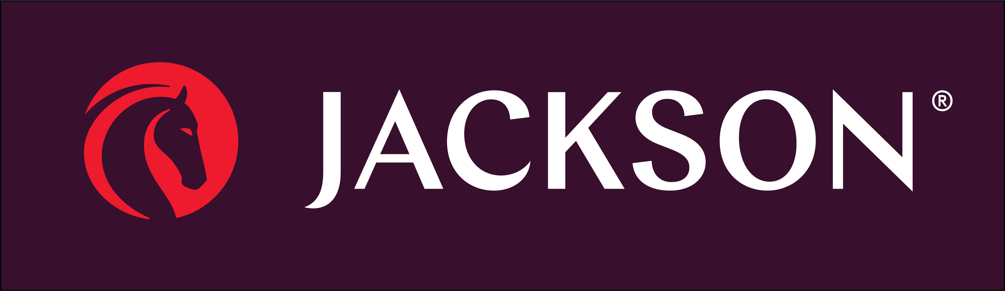 Jackson National Life Insurance logo