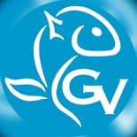 GRUPO VIDELA logo
