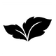 maintea logo