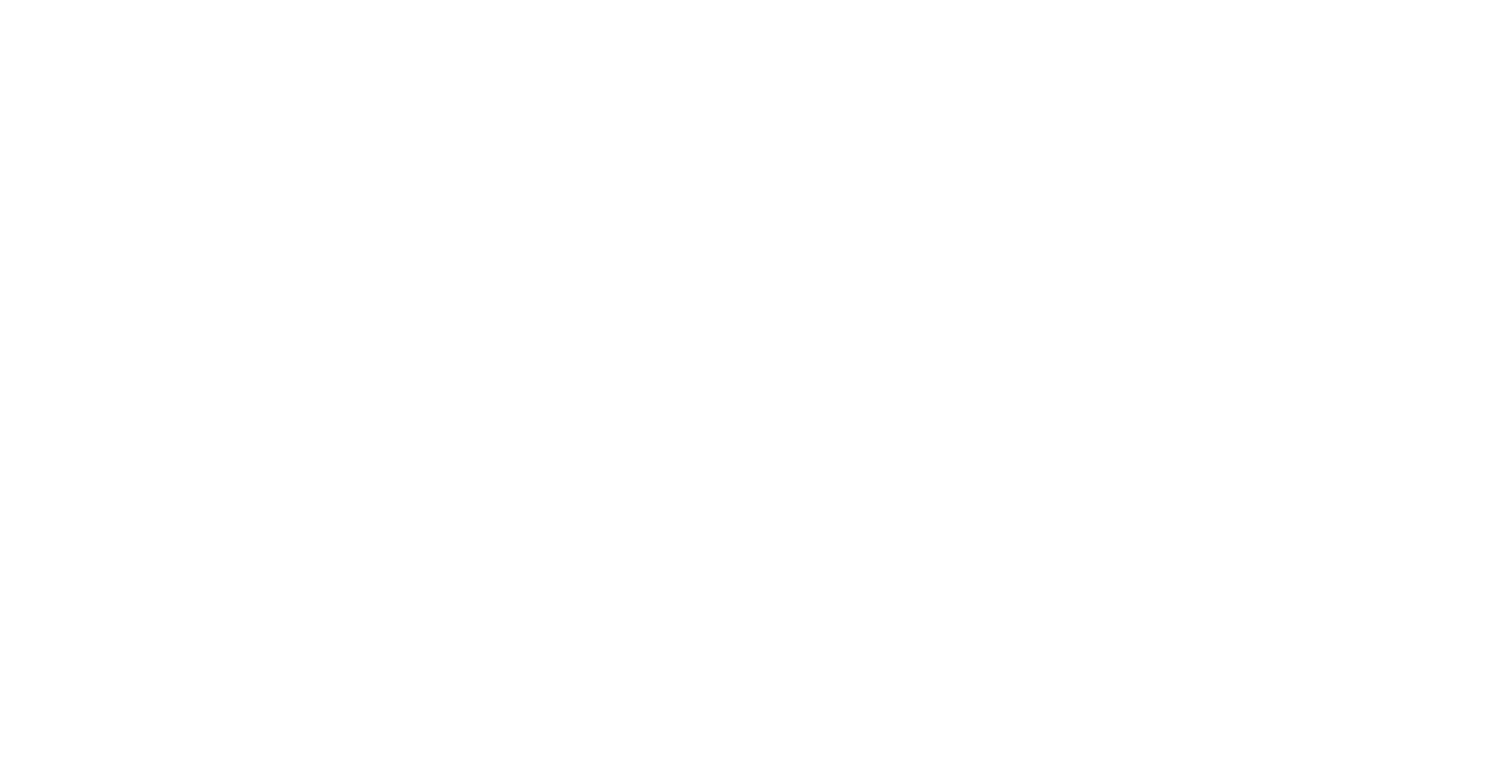 2020 Companies, Inc. logo