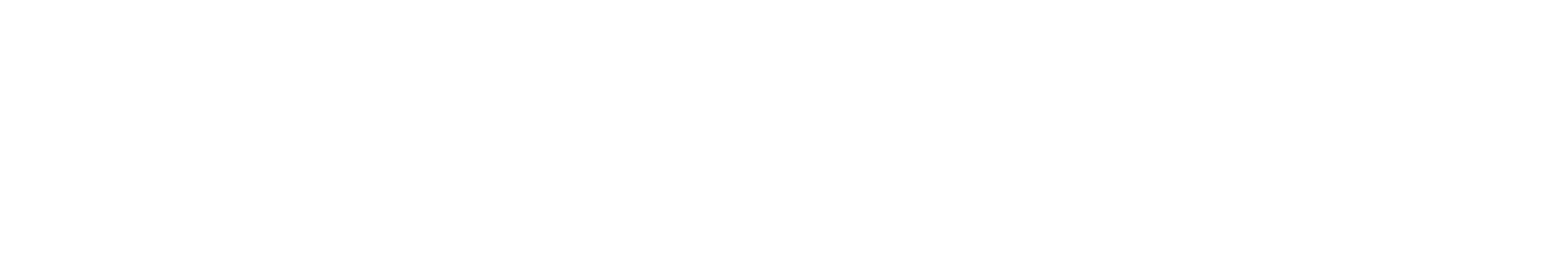 Auditdata logo