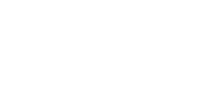 Twoday Group logo
