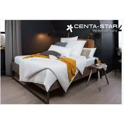 Centa-Star Bettwaren GmbH & Co. KG logo