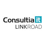Consultia IT logo