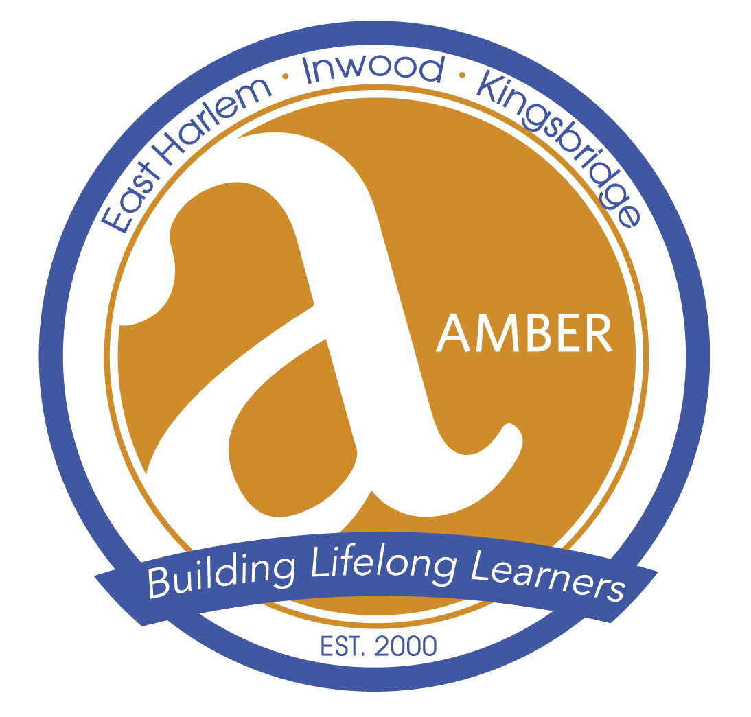 Amber Charter Schools logo