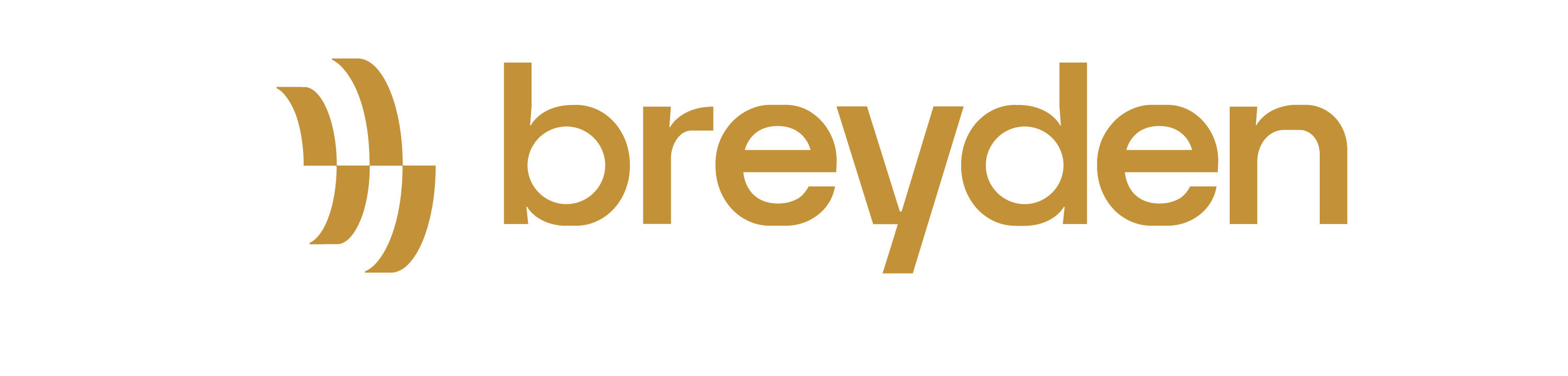 Breyden GmbH logo