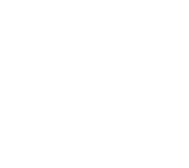 littledutch logo