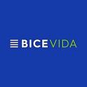 BICE VIDA logo