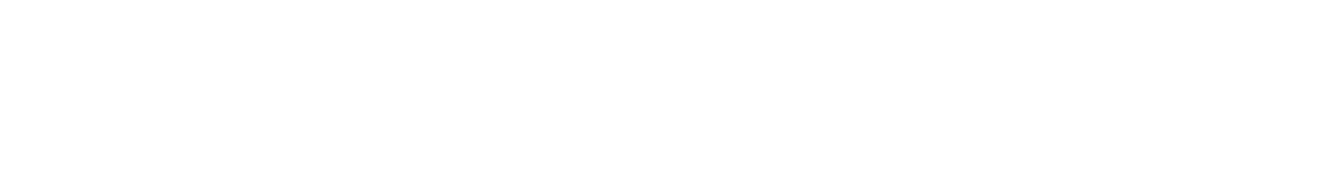 NDI New Mexico logo