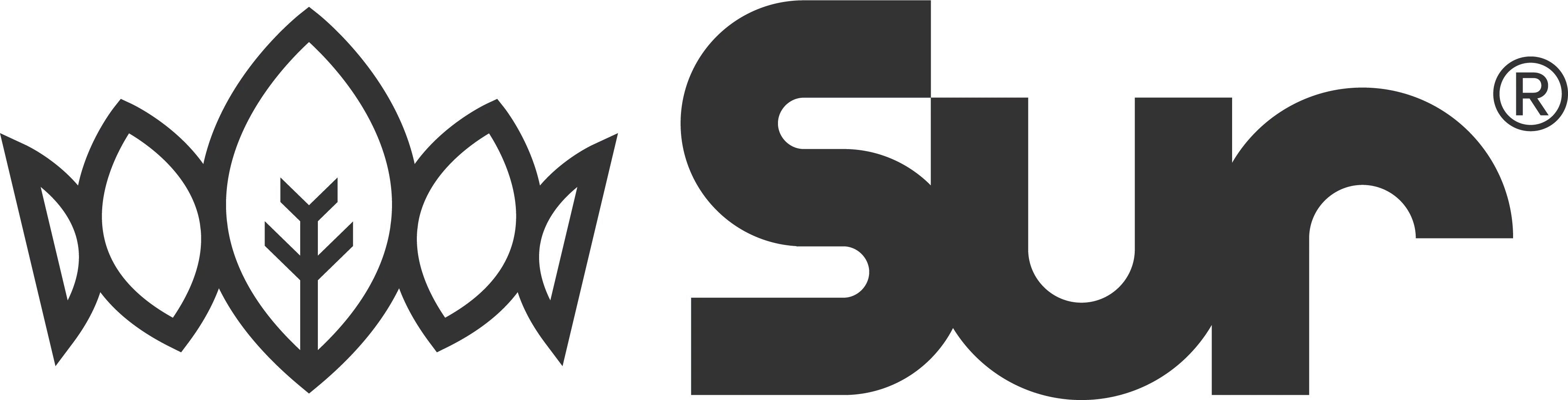 Sur logo