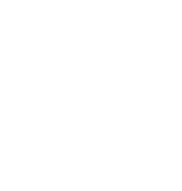 WSFS Bank logo