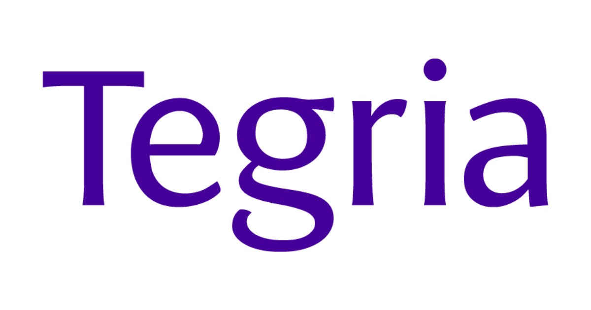 Tegria Services Group - US, Inc. logo