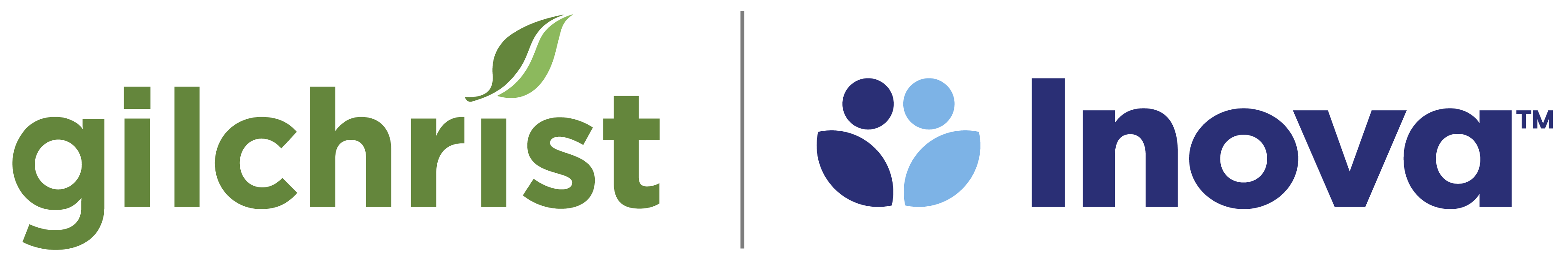 300 Gilchrist Hospice Care, Inc. logo
