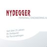 nydeggerag logo