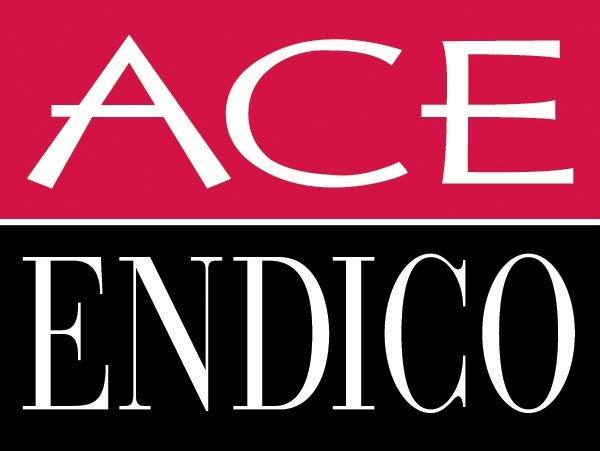 ACE ENDICO CORP logo