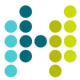 Health Solutions Enterprise Inc.