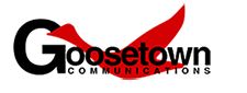 GOOSETOWN ENTERPRISES INC logo