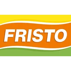 FRISTO SE logo