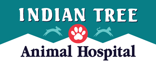 Indian Tree Animal Hospital logo