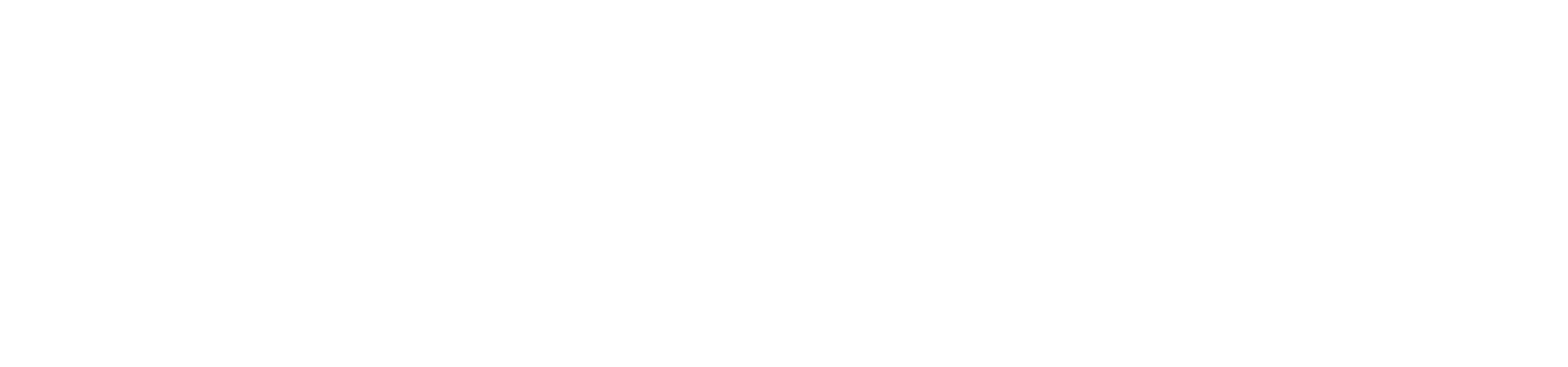 Vossloh Rail Services Deutschland GmbH logo